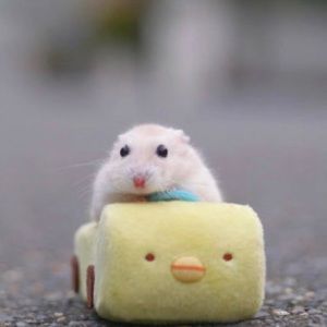 Meet your Posher, Cindy